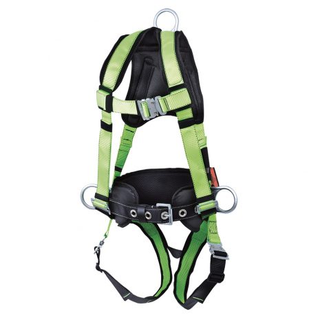 harness with positioning belt