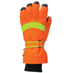 Agassiz Cold Weather Thinsulate Lined Glove