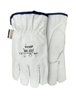 Van Goat Lined Drivers Glove (XXS - 2XL)