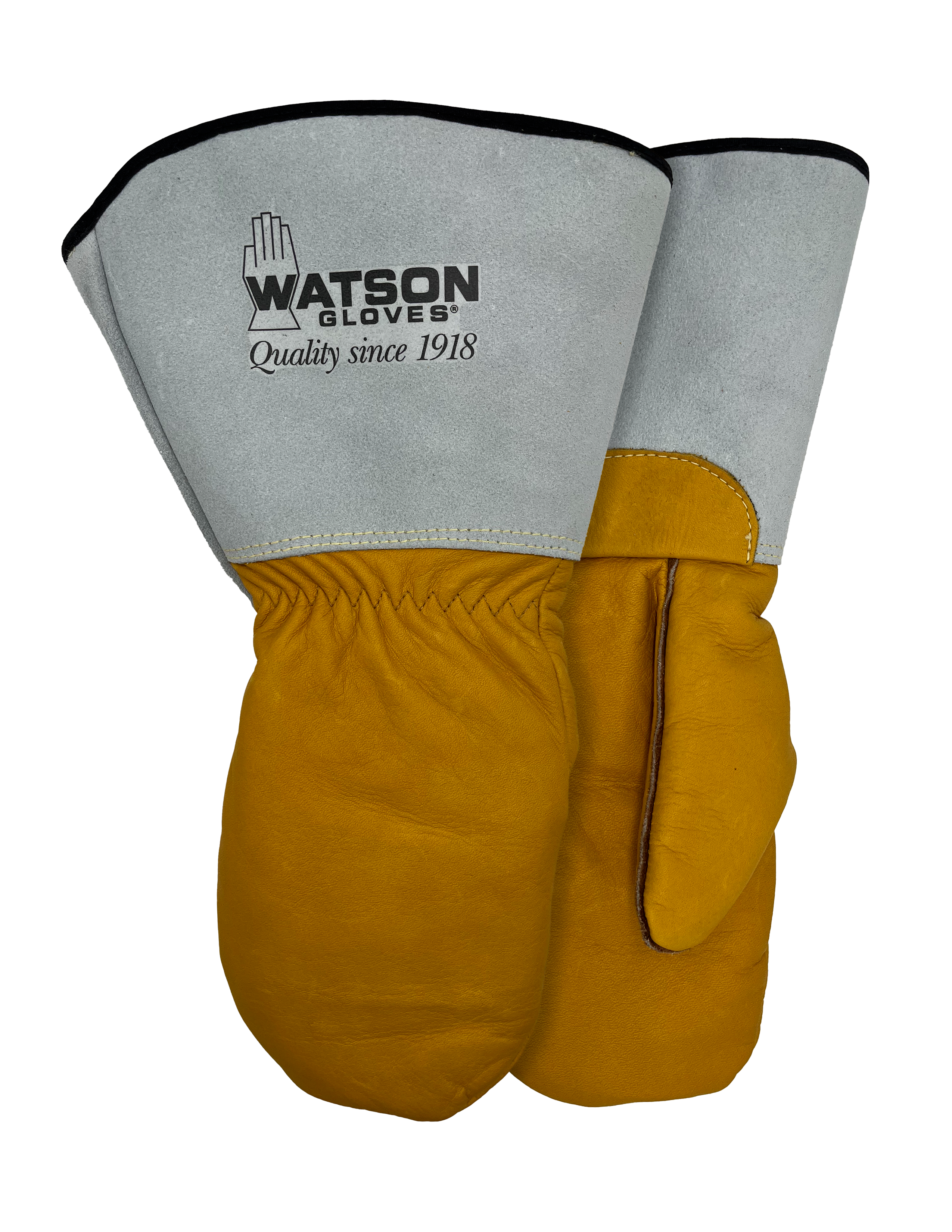 Winter Powerline CR Mitt